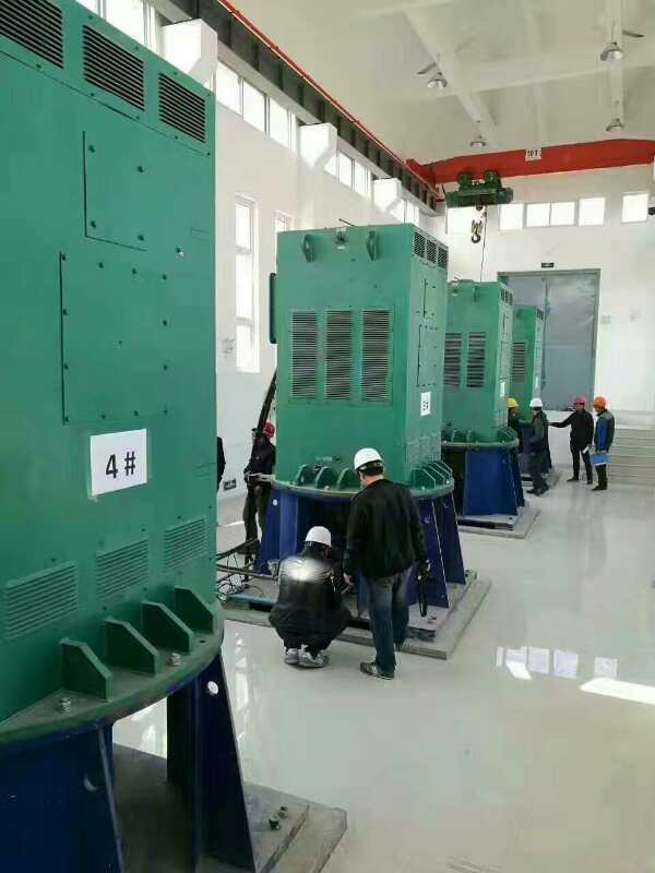 阿巴嘎某污水处理厂使用我厂的立式高压电机安装现场
