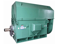 阿巴嘎Y系列6KV高压电机